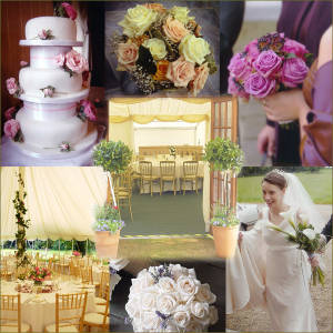 weddings1.jpg